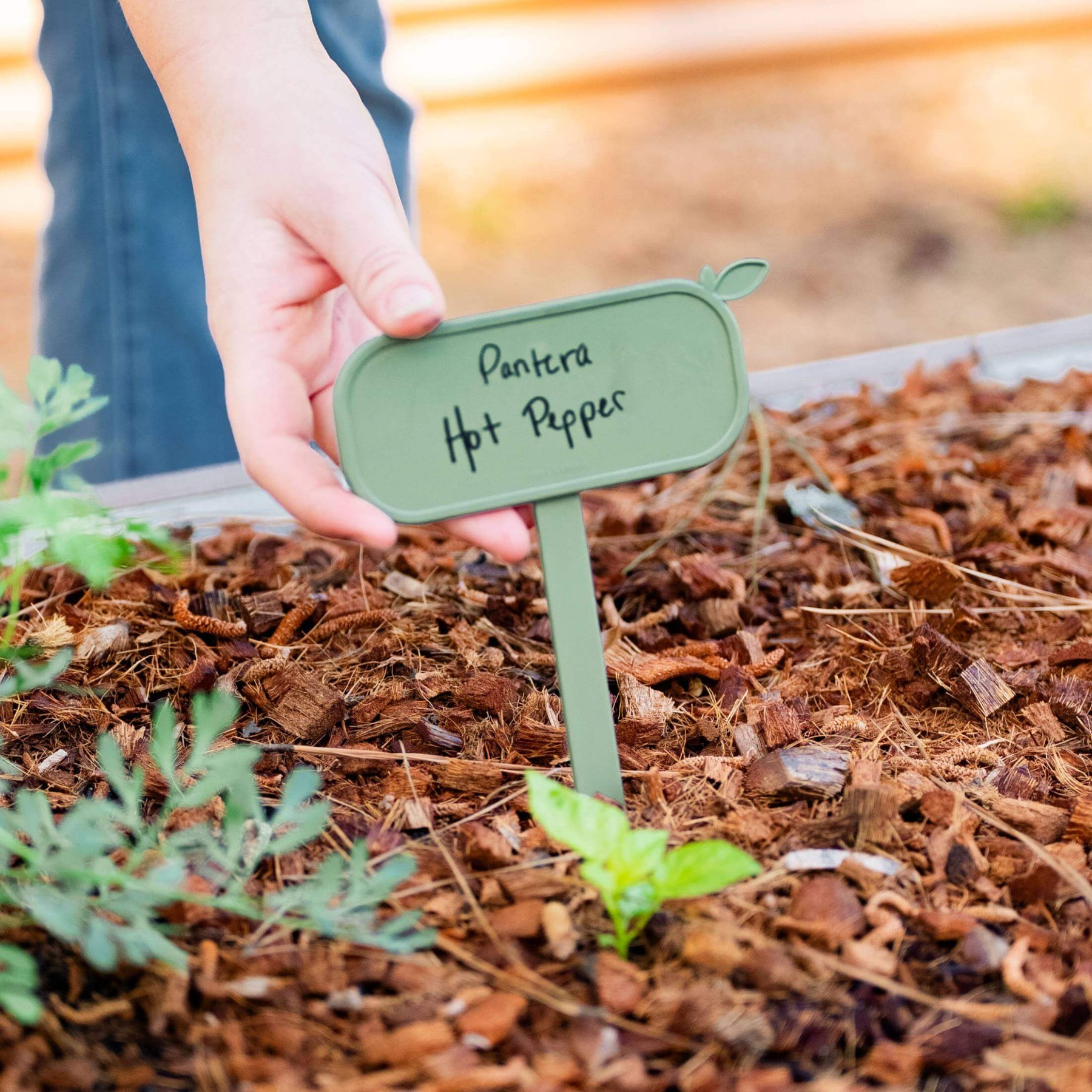 garden tags for plants in grow bags Magnetic Plant Tag