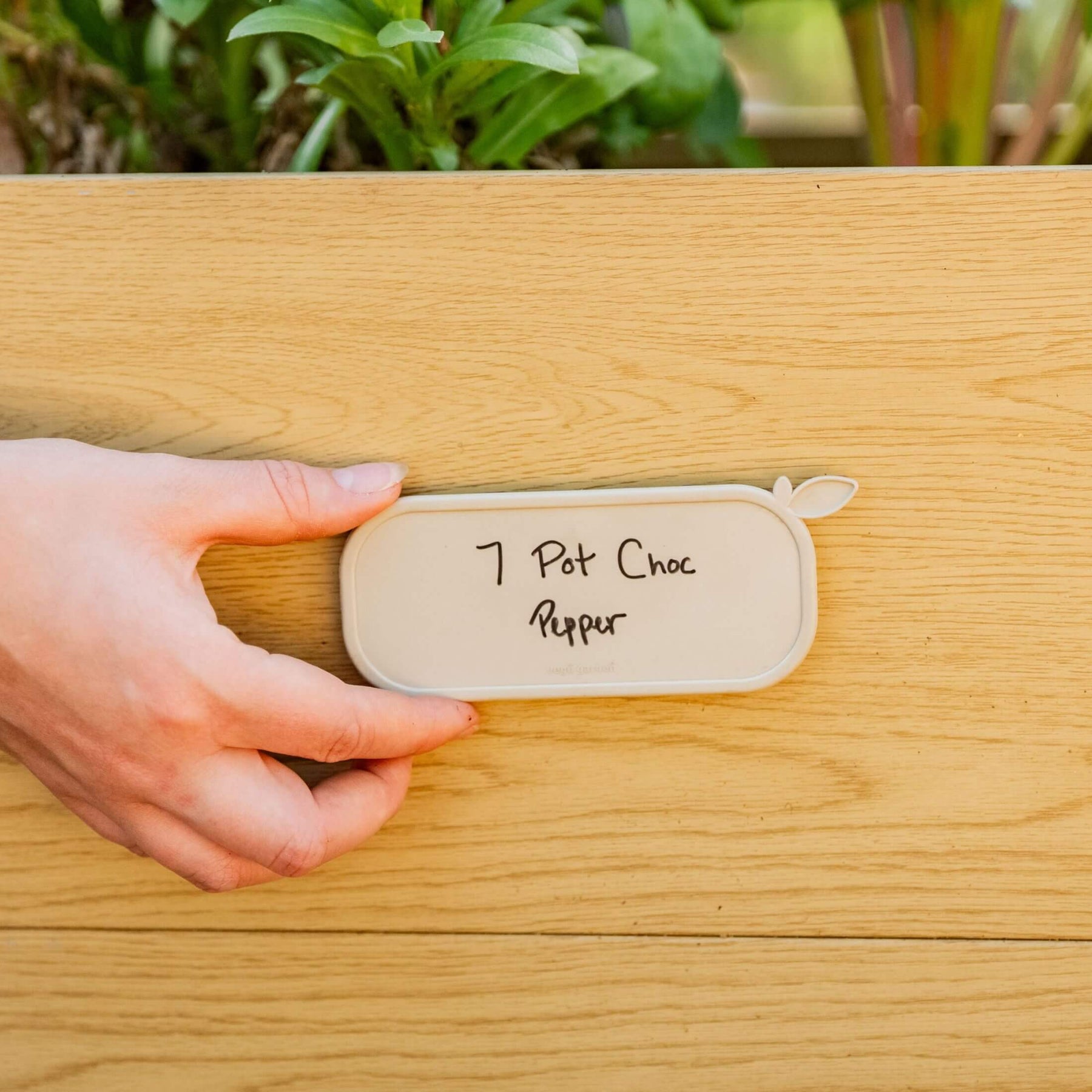 Magnetic Plant Tag