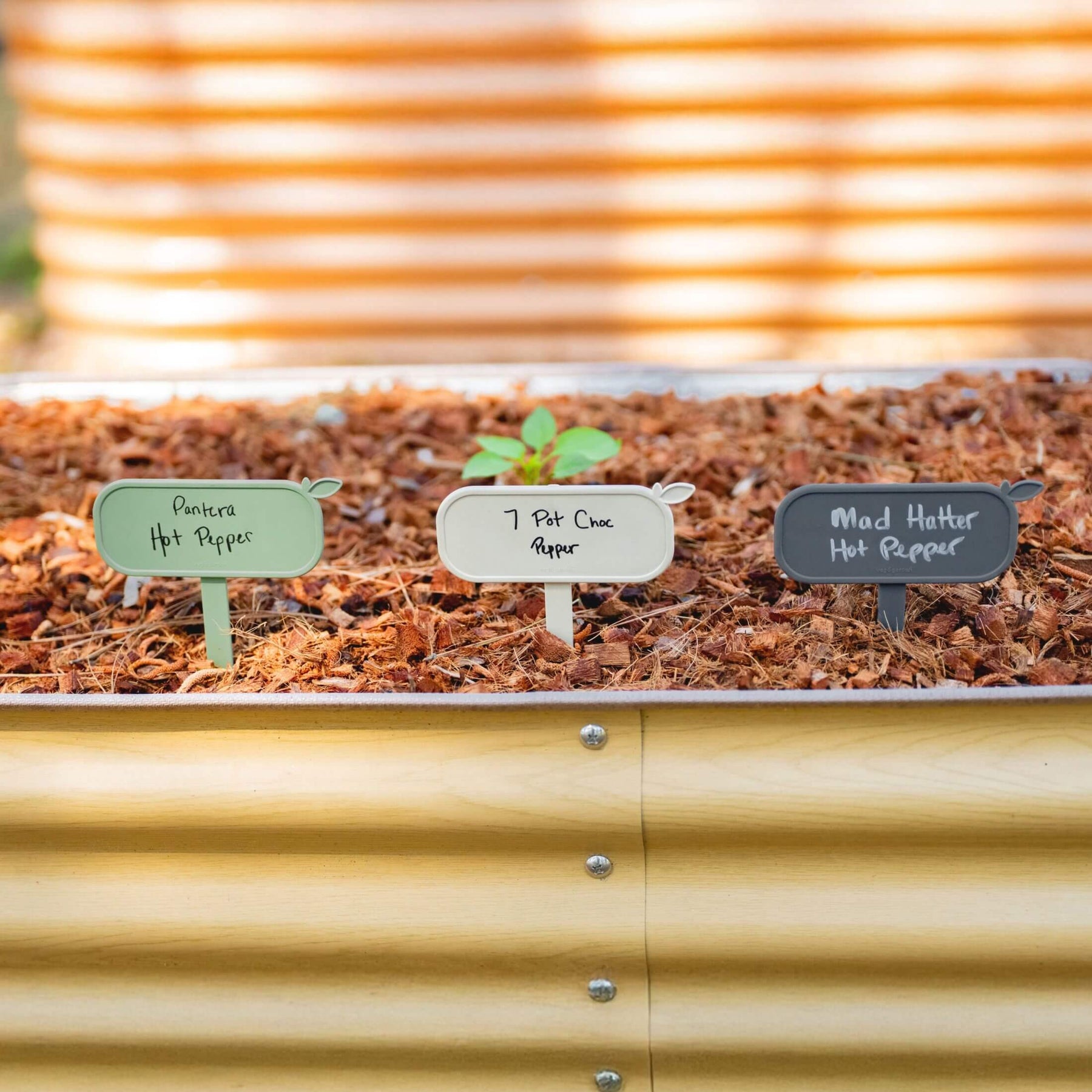 Magnetic Plant Tag 10 Pack