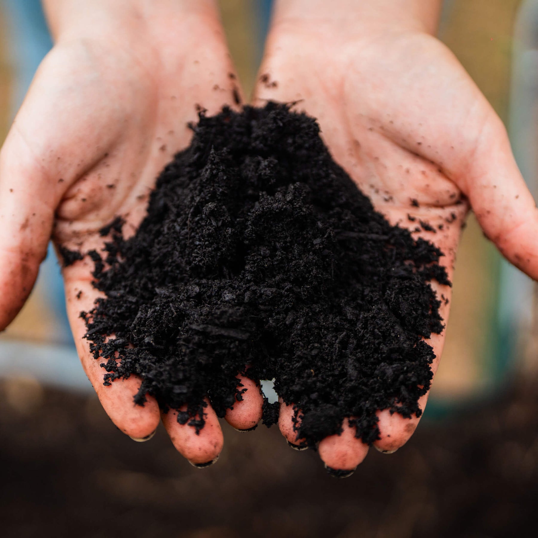 Margo Compost Vego Garden Regenerative Compost