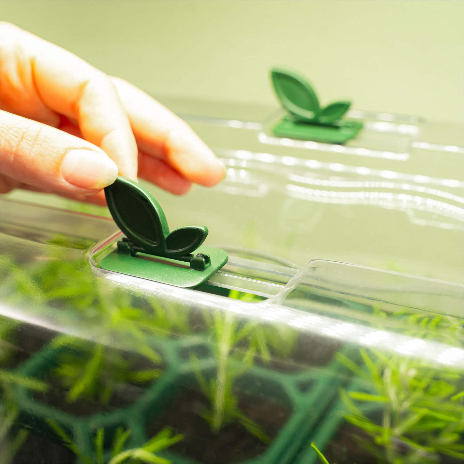 humidity dome for indoor plants Seedling Humidity Dome