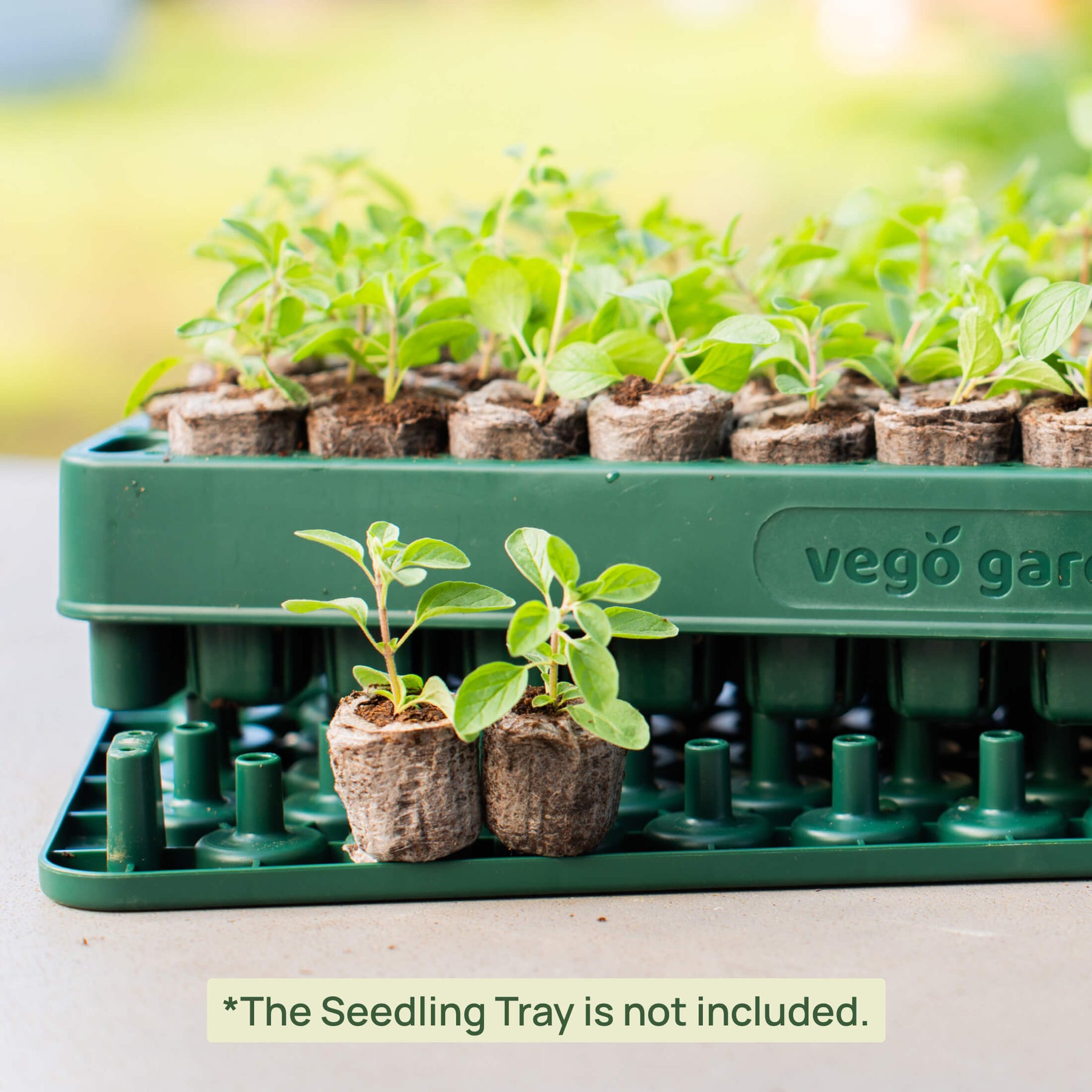 vego garden seed trays Vego Garden 3-In-1 Plant 'n' Pop Board