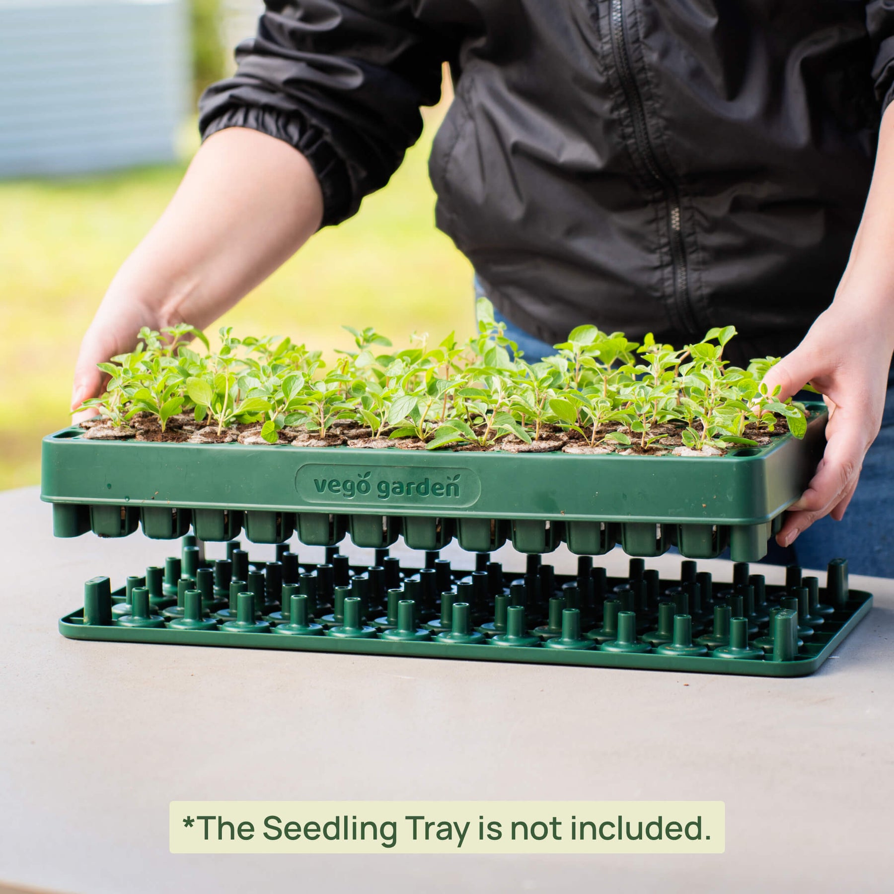 vego garden seed trays Vego Garden 3-In-1 Plant 'n' Pop Board