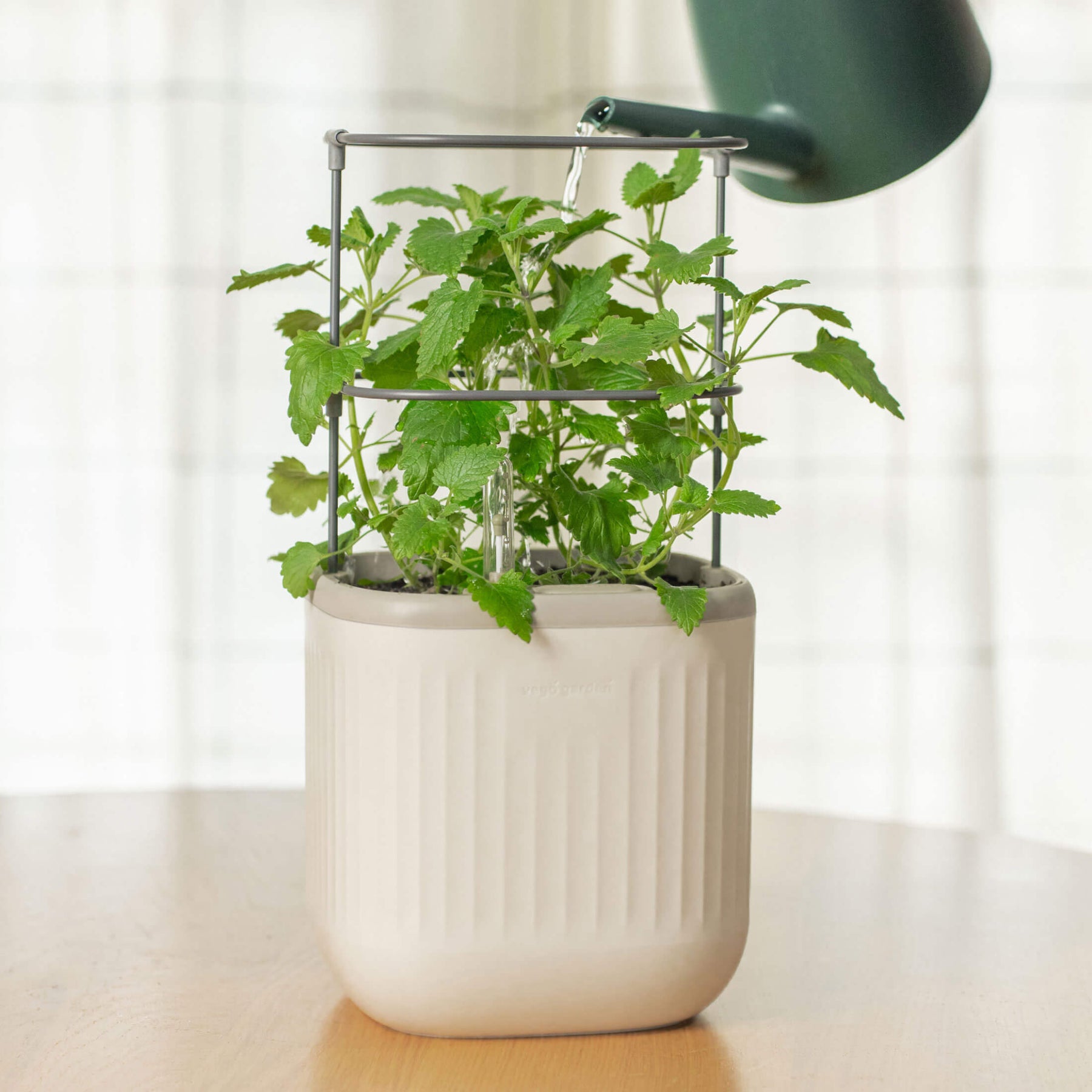 Mini Pot Rework System Self-Watering Mini Planter Pot with Trellis | Vego Garden