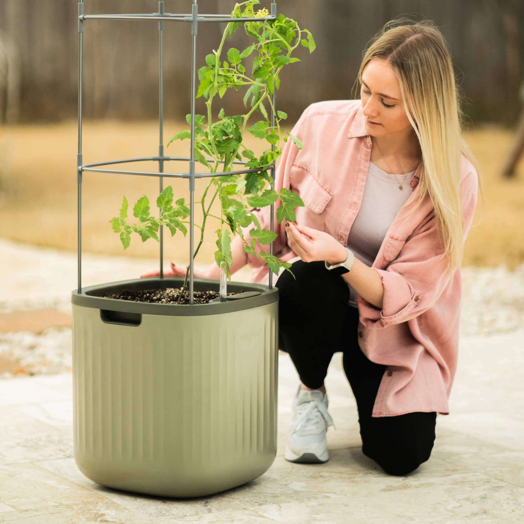 Self Watering Rolling Tomato Planter With Trellis Vego Garden self-watering-rolling-tomato-planter-with-trellis-vego-garden