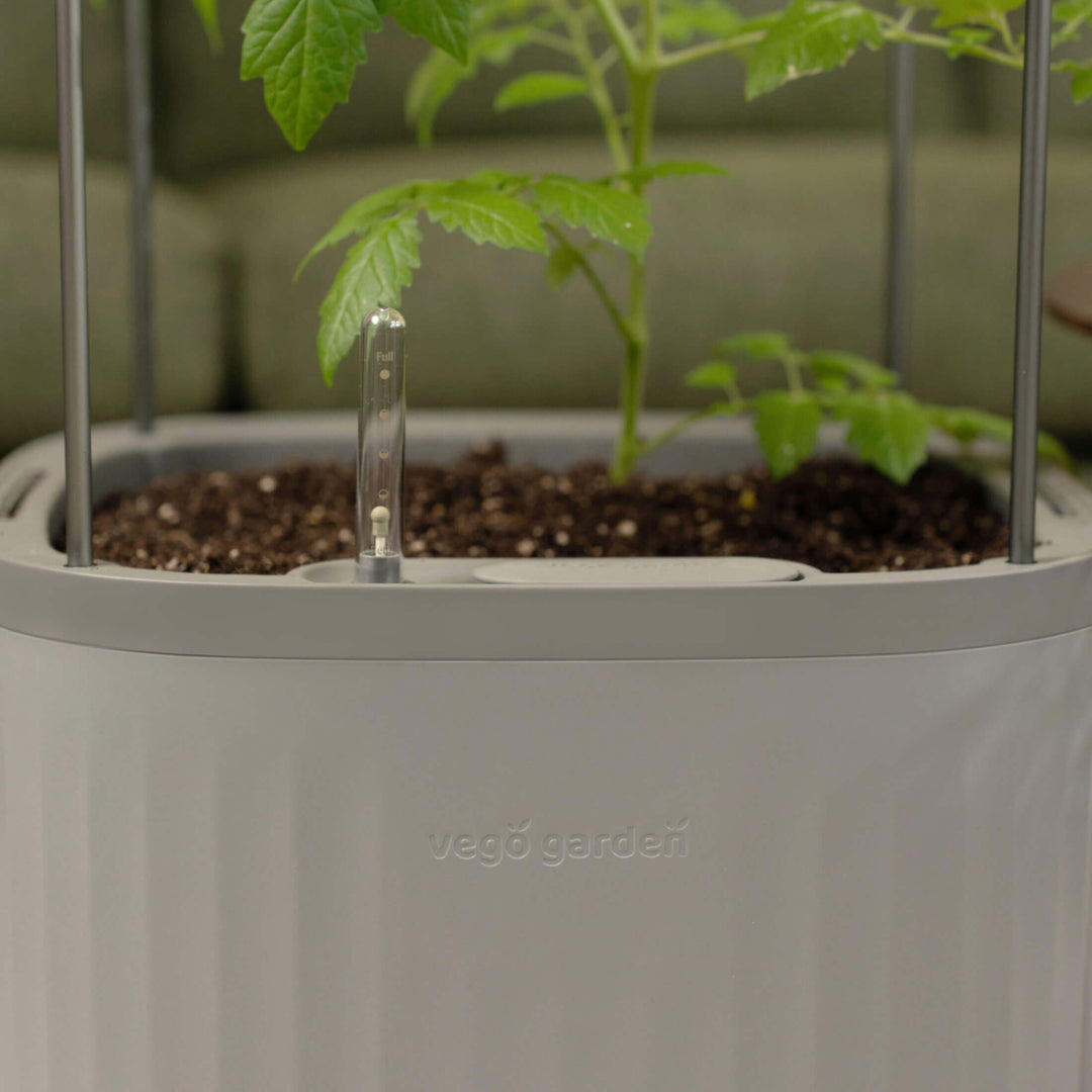 Rolling Self Watering Patio / Indoor Planter with Trellis – Vego Garden