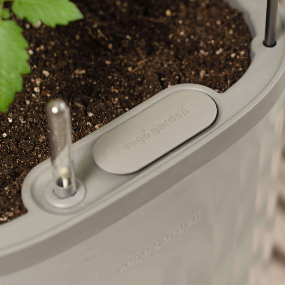 Rolling Self Watering Patio / Indoor Planter with Trellis – Vego Garden