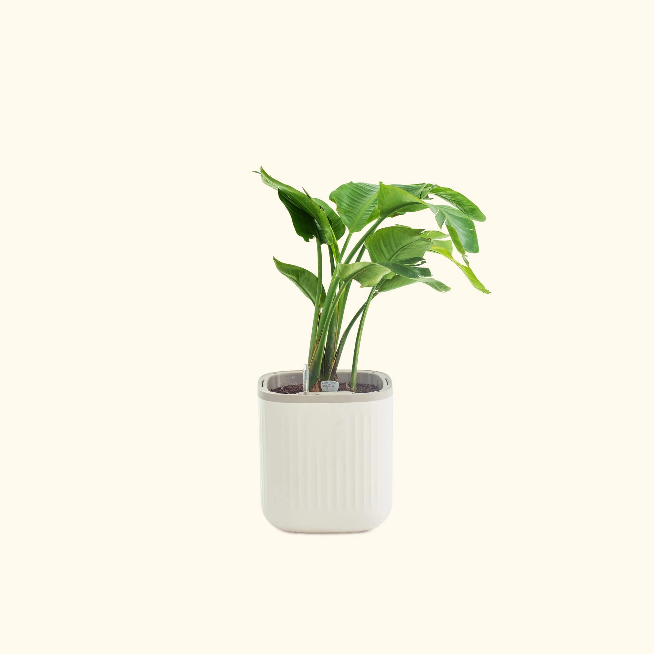 2 Tier Tabletop Grow Light Garden