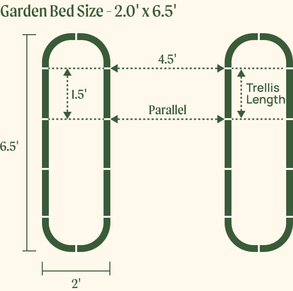 2.0 by 6.5 foot beds with 1.5 foot trellis