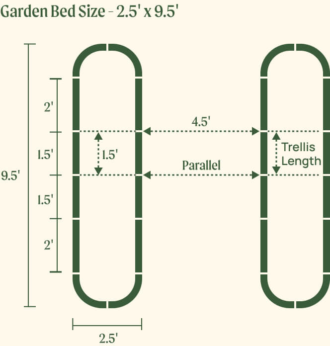 2.5 by 9.5 foot beds with 1.5 foot trellis