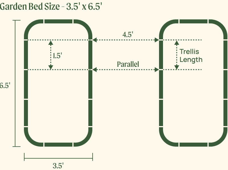 3.5 by 6.5 foot beds with 1.5 foot trellis, first layout
