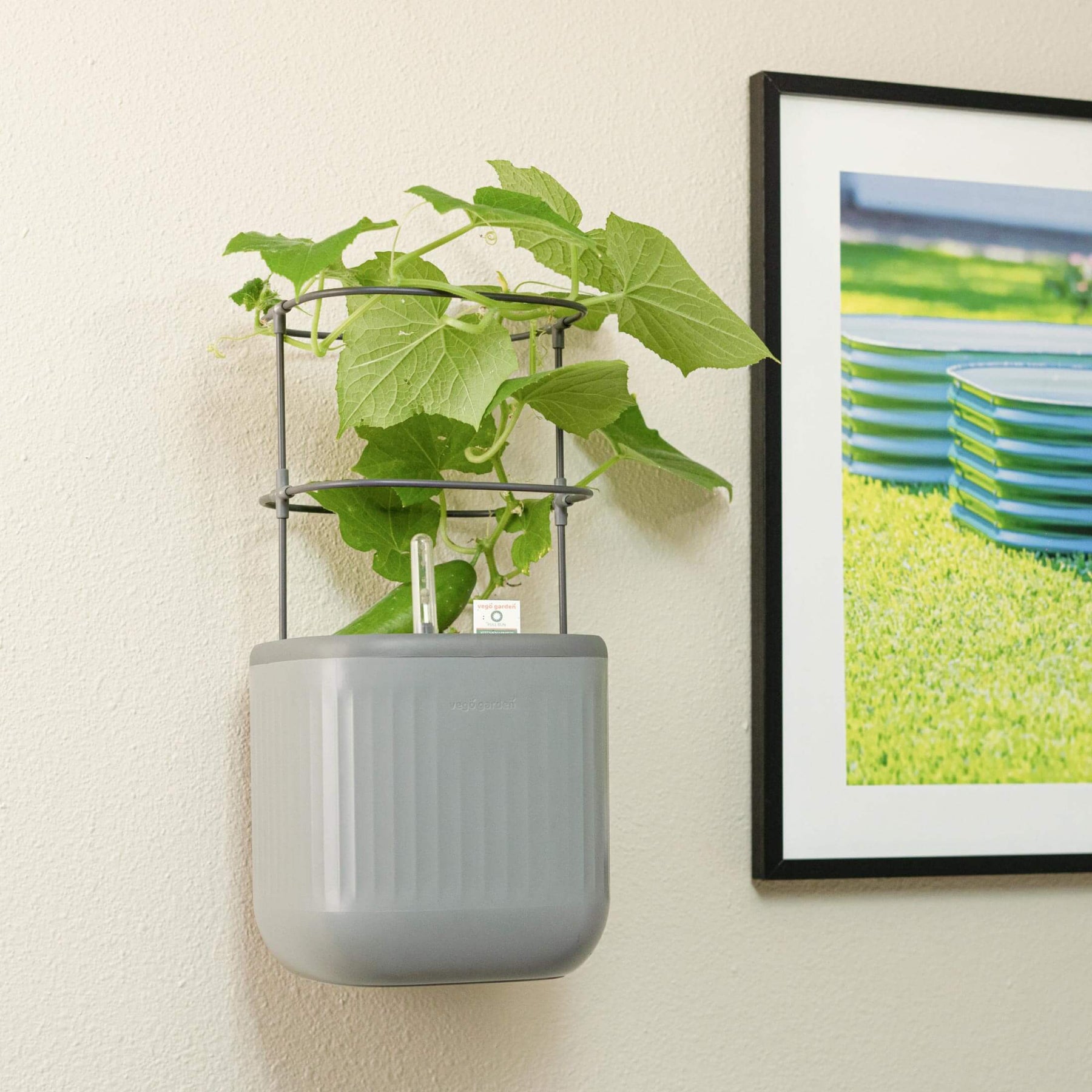 self watering herb wall planter Planter Wall Mount Kit