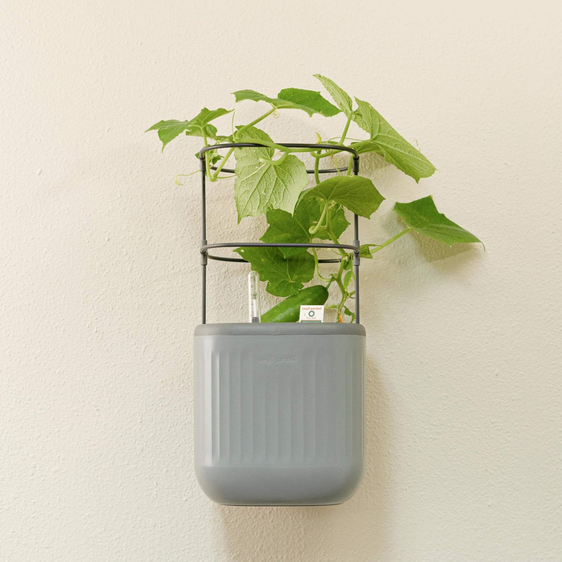 indoor wall mounted plant pots Planter Wall Mount Kit