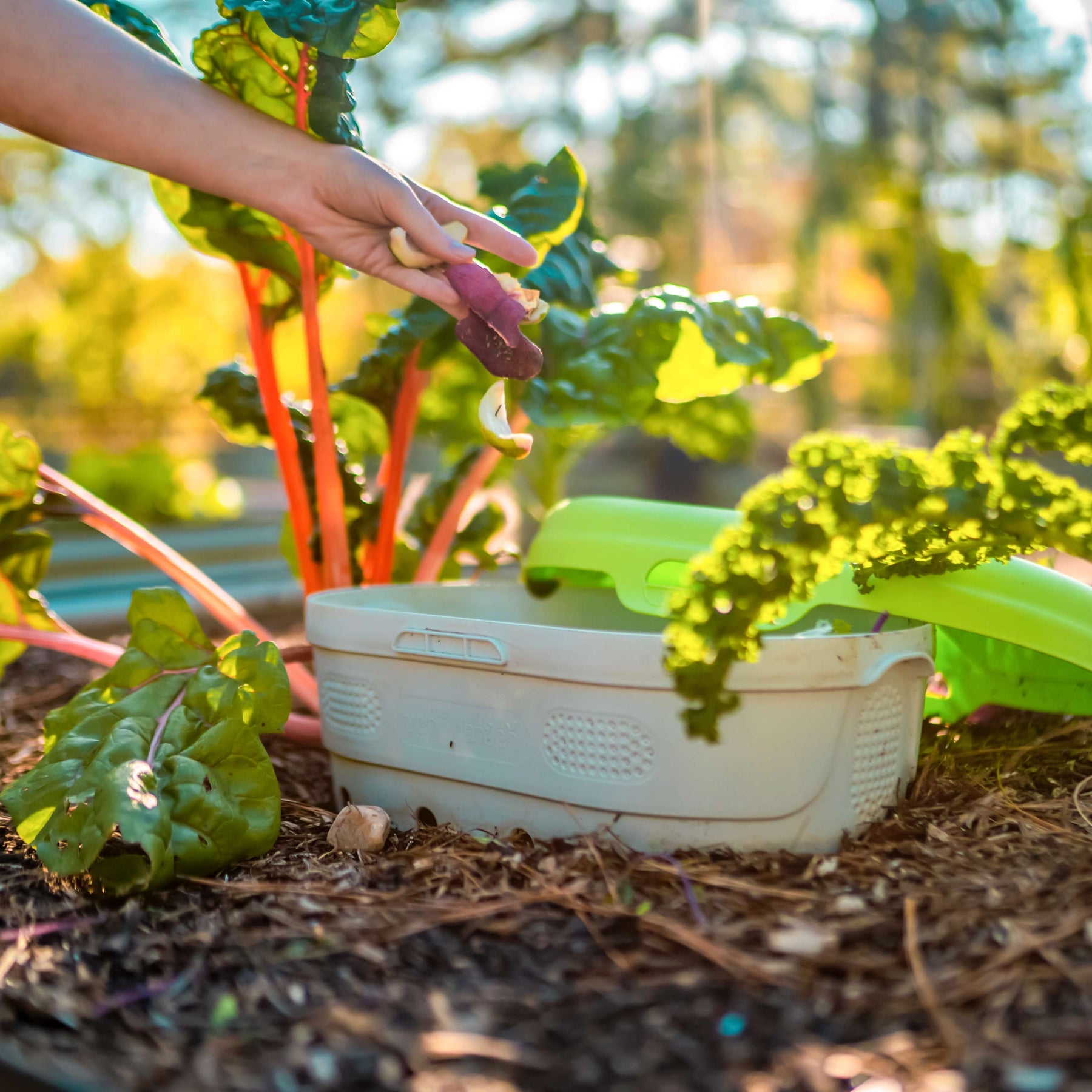 In-Ground Worm Composter & Compost Bin | Vego Garden