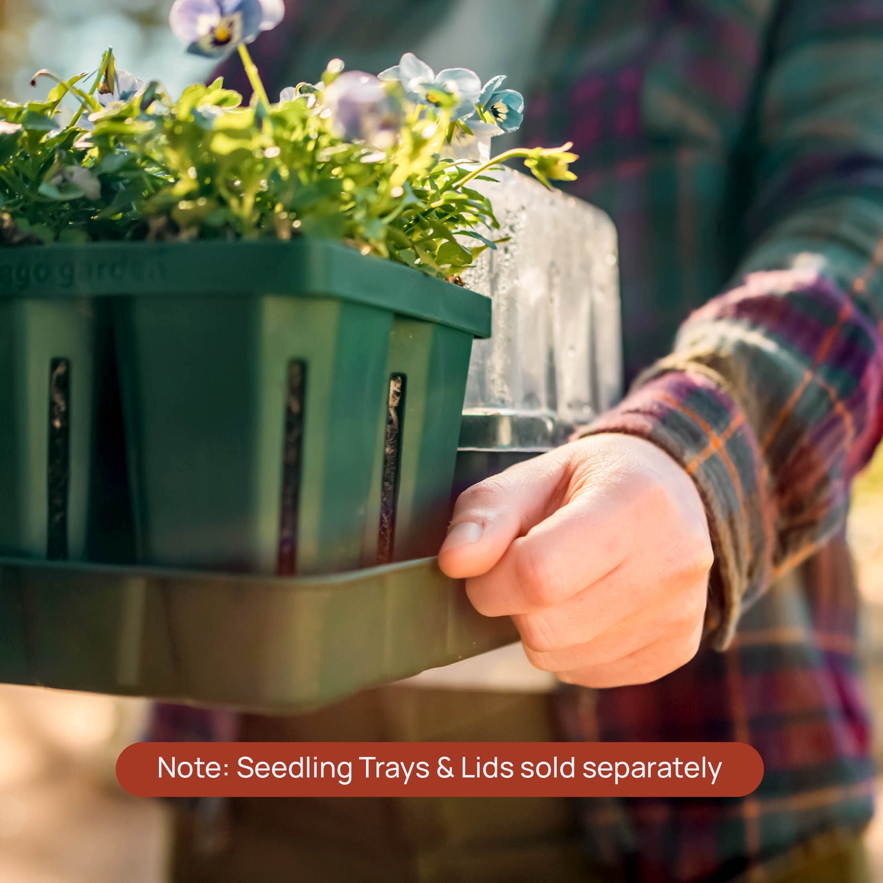 vego garden seed trays Vego Garden