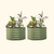 Vego Garden 17 tall Berry garden bed Olive Green | Vego Garden