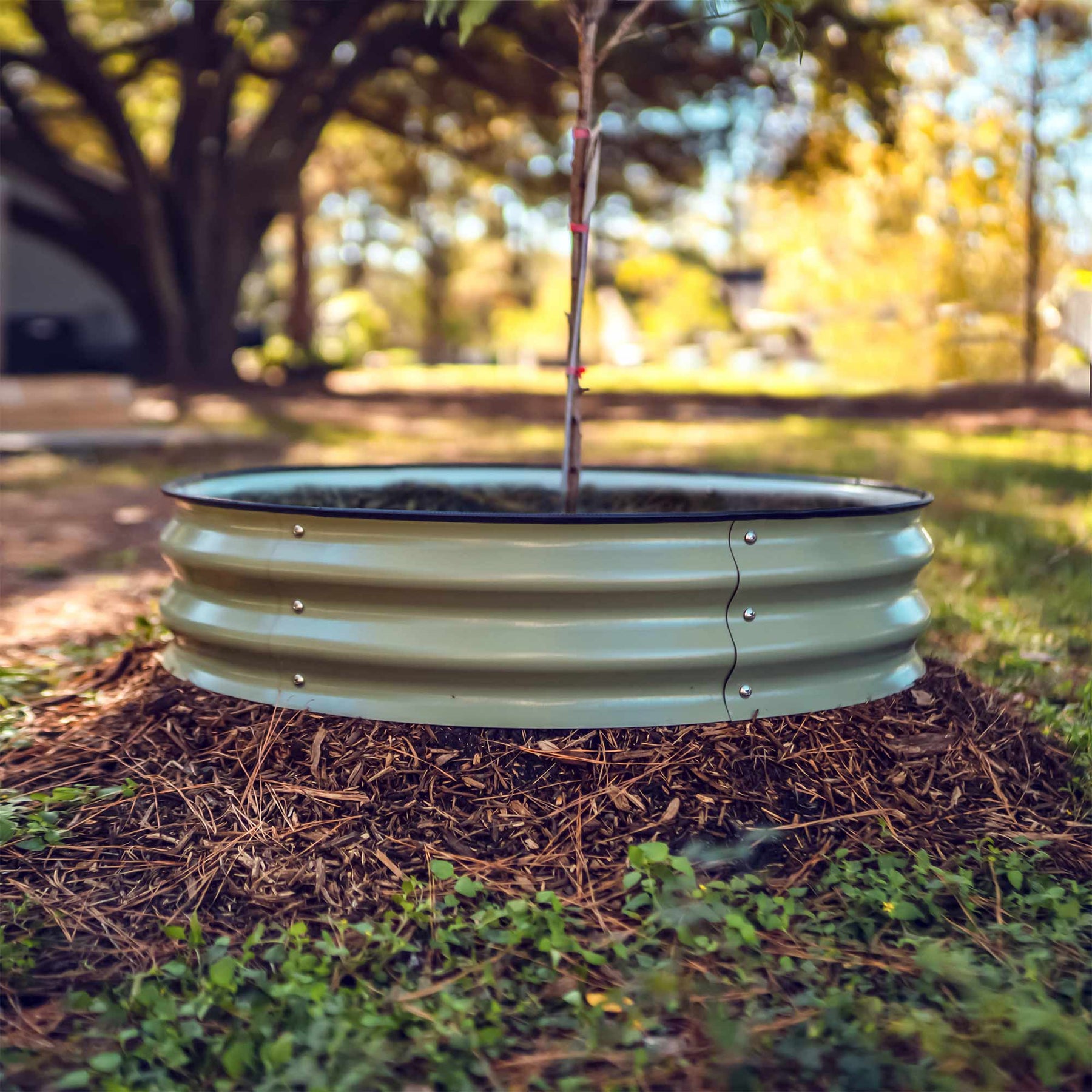Tree Rung Tree Surround & Watering Ring Kit