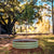 Vego Garden Tree Surround Olive Green | Vego Garden